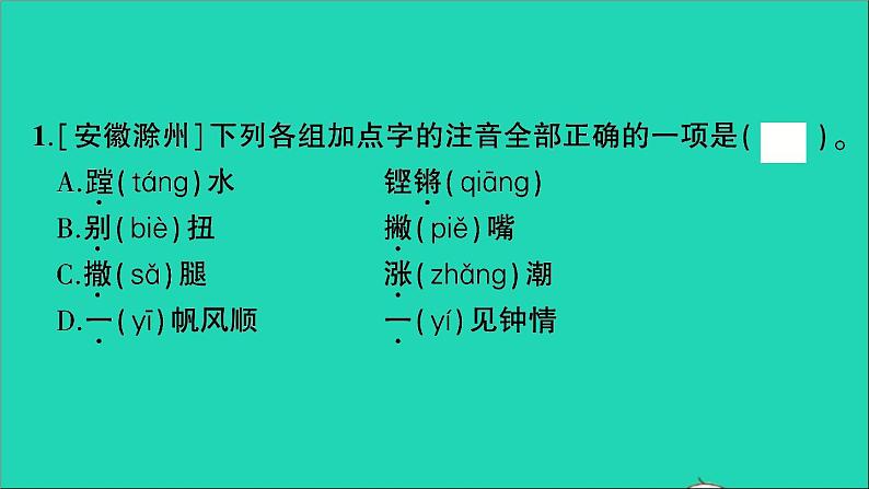 2021小升初语文归类冲刺专题一拼音与汉字专项三同音字多音字形近字课件02