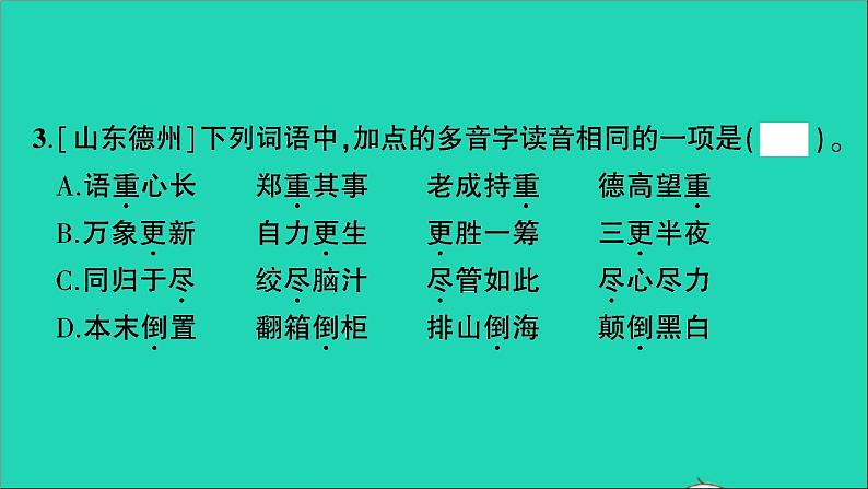 2021小升初语文归类冲刺专题一拼音与汉字专项三同音字多音字形近字课件04