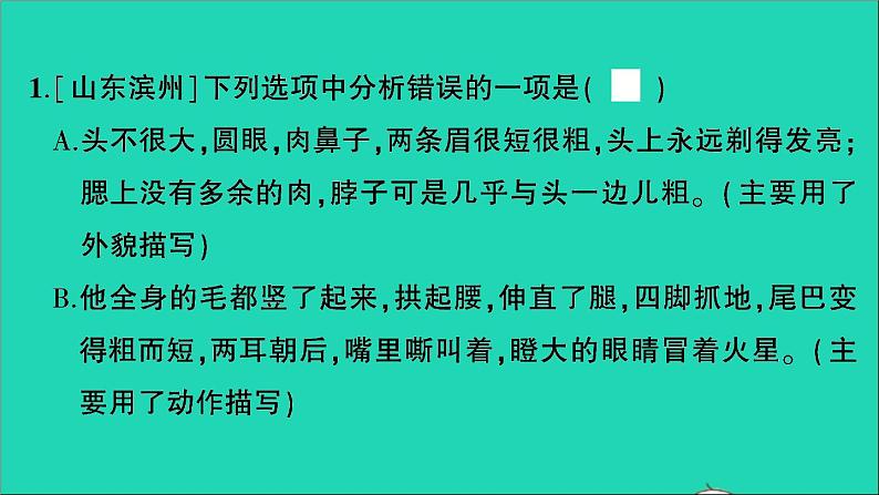 2021小升初语文归类冲刺专题三句子专项十一句子综合课件02