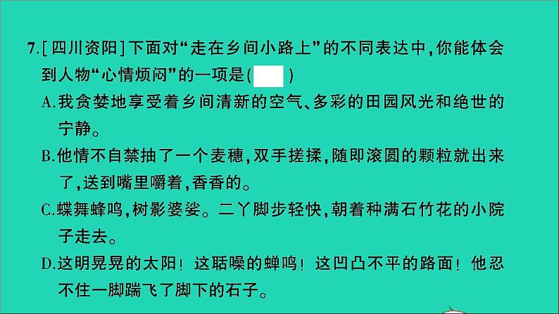 2021小升初语文归类冲刺专题三句子专项十一句子综合课件08