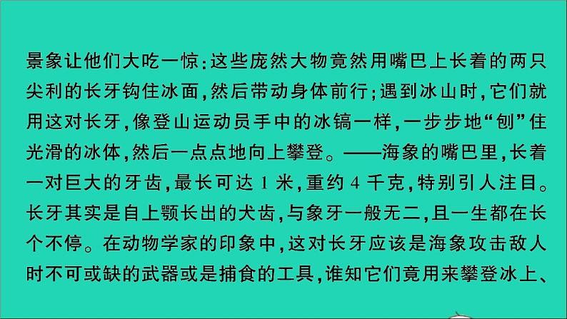 2021小升初语文归类冲刺专题六阅读理解专项二十三说明文阅读课件第3页