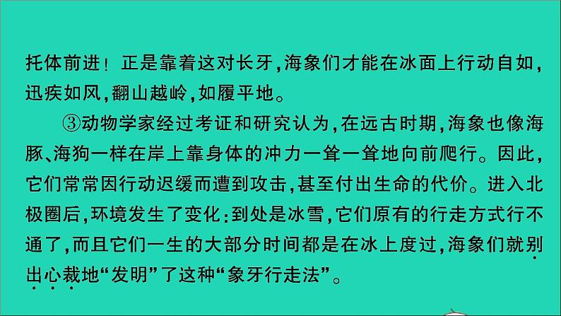 2021小升初语文归类冲刺专题六阅读理解专项二十三说明文阅读课件第4页