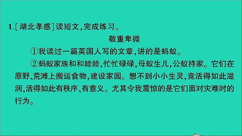 2021小升初语文归类冲刺专题六阅读理解专项二十四散文阅读课件02