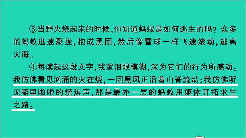 2021小升初语文归类冲刺专题六阅读理解专项二十四散文阅读课件03