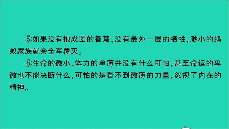 2021小升初语文归类冲刺专题六阅读理解专项二十四散文阅读课件04