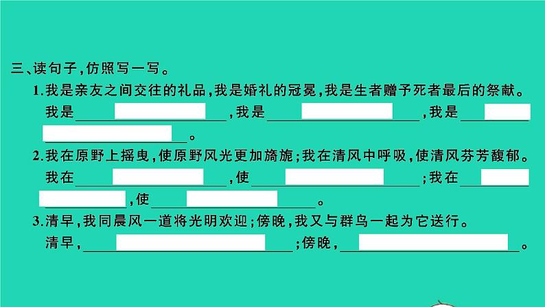 2021秋六年级语文上册第一单元4花之歌习题课件新人教版第3页