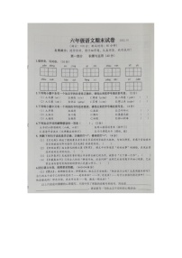 江苏省连云港2021-2022学年六年级上学期语文期末试卷（Word版无答案）