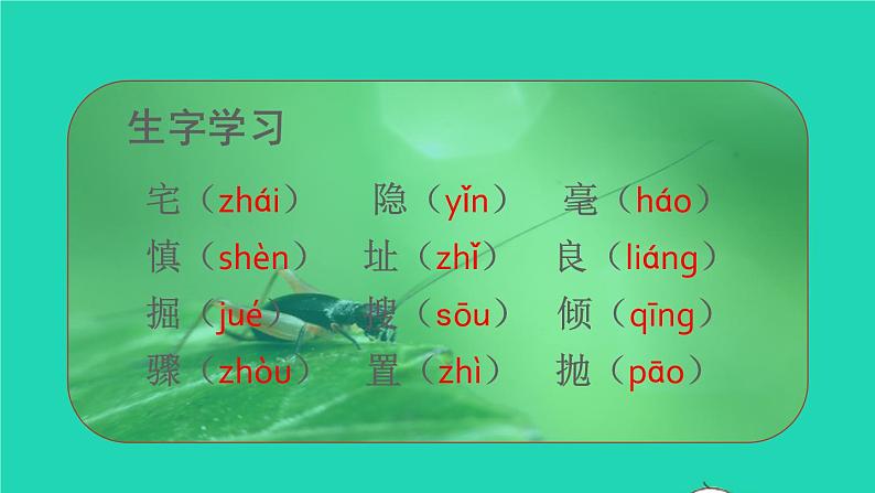 2021秋四年级语文上册第三单元11蟋蟀的住宅课件新人教版04
