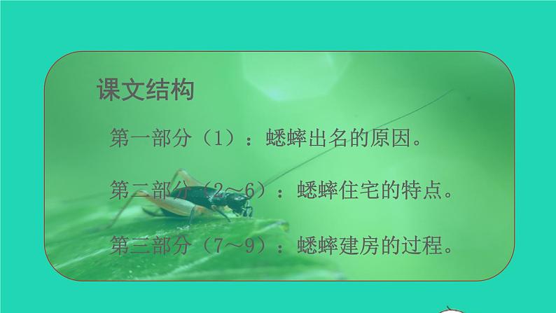 2021秋四年级语文上册第三单元11蟋蟀的住宅课件新人教版08