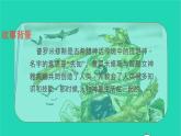 2021秋四年级语文上册第四单元14普罗米修斯课件新人教版