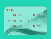 2021秋四年级语文上册第八单元25王戎不取道旁李课件新人教版