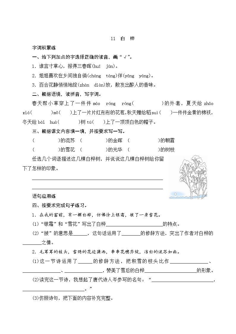 11《白桦》课件+教案+素材+练习01