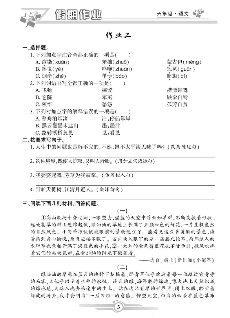《寒假作业》语文6年级部编版（含答案）第3页