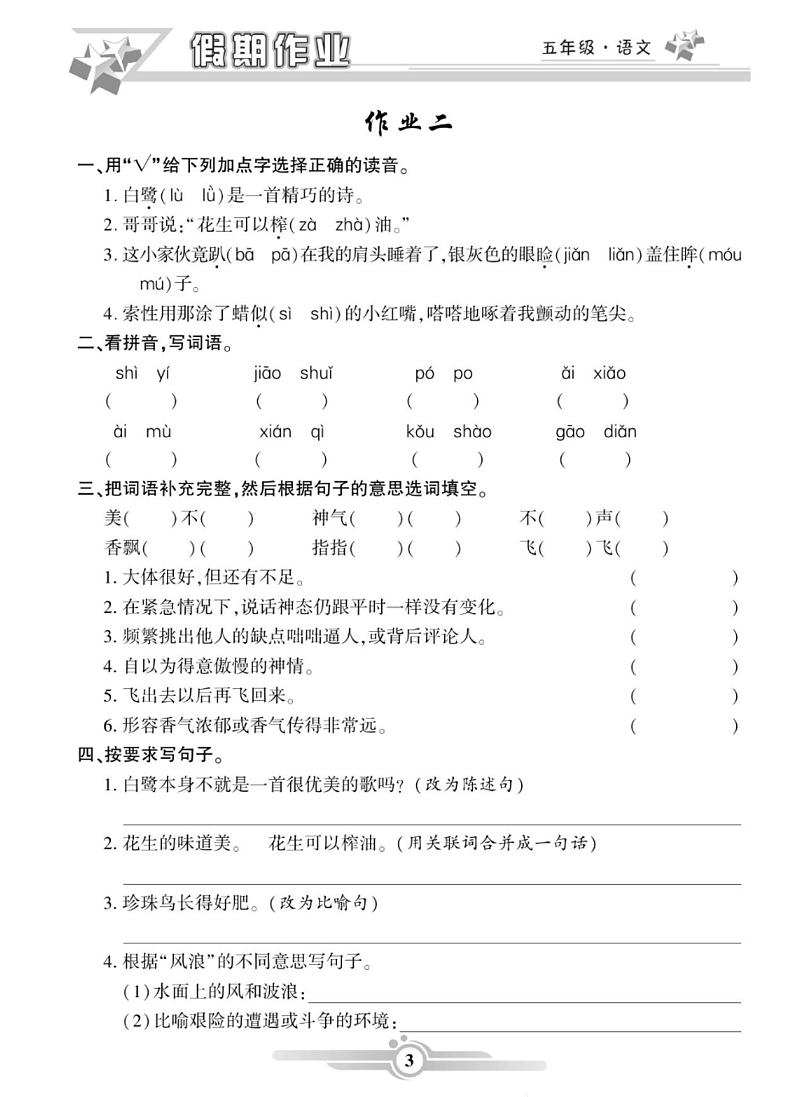 《寒假作业》语文5年级部编版（含答案）第3页
