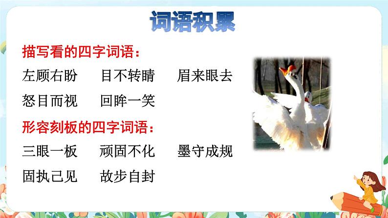 15《白鹅》课件+教案+素材+练习02