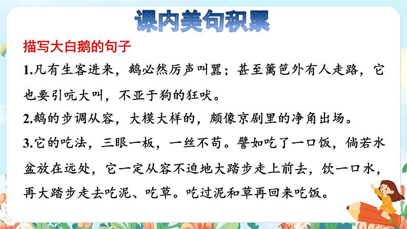 15《白鹅》课件+教案+素材+练习03