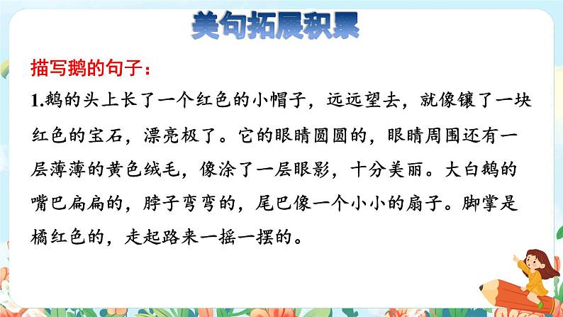 15《白鹅》课件+教案+素材+练习04