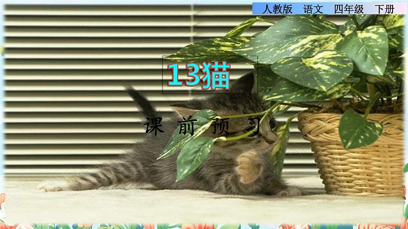 13《猫》课件+教案+素材+练习01