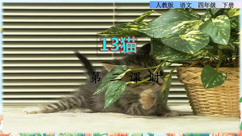 13《猫》课件+教案+素材+练习01