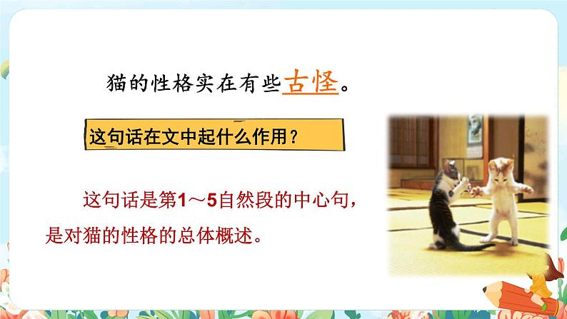 13《猫》课件+教案+素材+练习06