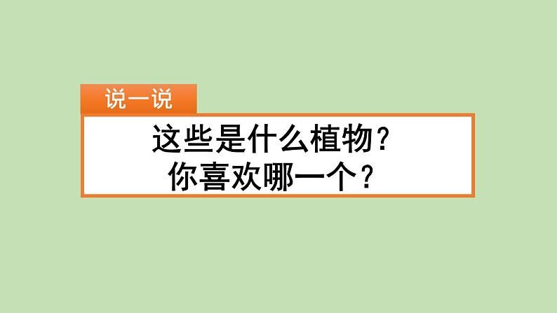 人教部编版（五四制）三年级下册语文习作：我的植物朋友课件第1页