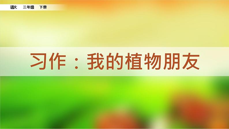 人教部编版（五四制）三年级下册语文习作：我的植物朋友课件第6页