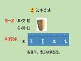 人教部编版（五四制）三年级下册语文15 小虾课件