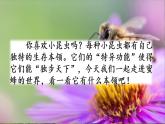 人教部編版（五四制）三年級(jí)下冊(cè)語(yǔ)文14 蜜蜂課件