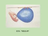 人教部编版（五四制）三年级下册语文习作：我做了一项小实验课件
