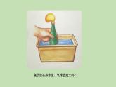 人教部编版（五四制）三年级下册语文习作：我做了一项小实验课件