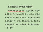 人教部编版（五四制）三年级下册语文语文园地四课件