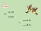 人教部编版（五四制）语文三年级下册10 纸的发明课件PPT
