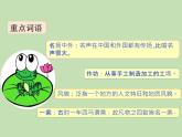 人教部编版（五四制）语文三年级下册12 一幅名扬中外的画课件PPT