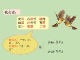 人教部编版（五四制）语文三年级下册11 赵州桥课件PPT