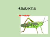 人教部编版（五四制）语文三年级下册4 昆虫备忘录课件PPT