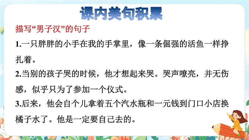 20我们家的男子汉拓展积累课件第3页