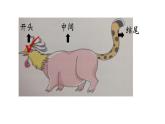 习作——形形色色的人课件PPT
