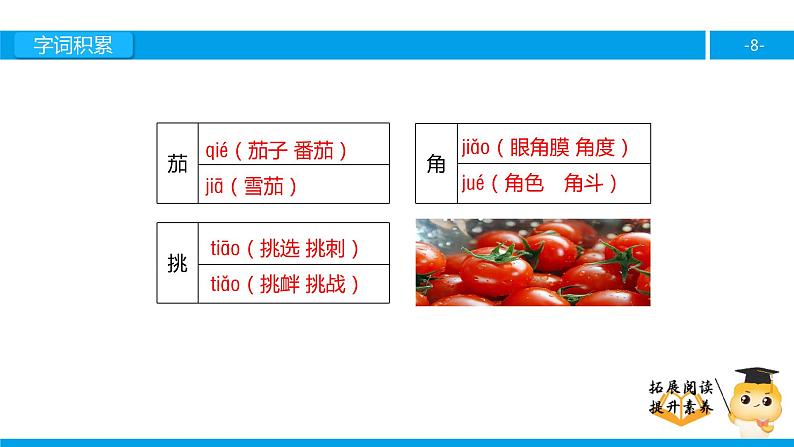 四年级【专项训练】课外阅读：“番茄太阳”（上）课件PPT08