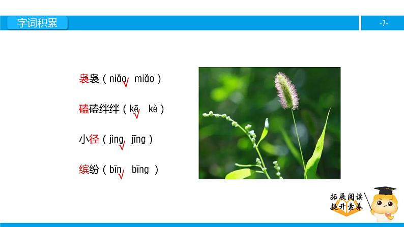 四年级【专项训练】课外阅读：触摸春天（上）课件PPT07