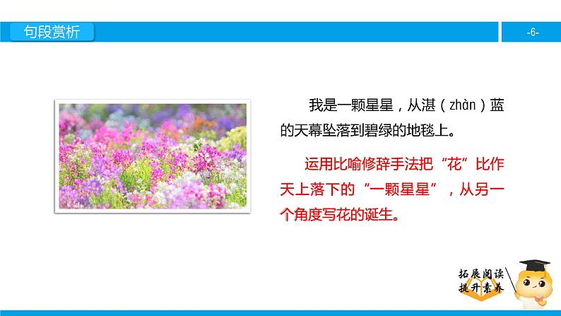 四年级【专项训练】课外阅读：花之咏（下）课件PPT06