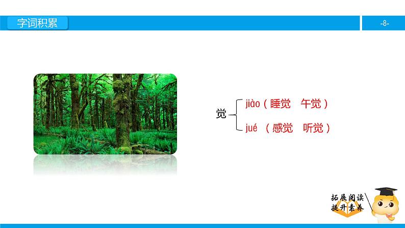 四年级【专项训练】课外阅读：林中乐队（上）课件PPT第8页