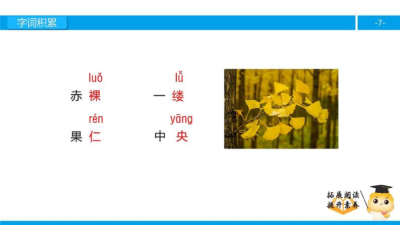 四年级【专项训练】课外阅读：三棵银杏树（上）课件PPT第7页