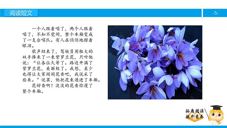 四年级【专项训练】课外阅读：赏花（下）课件PPT05