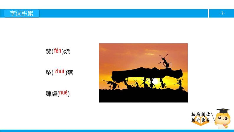 四年级【专项训练】课外阅读：生命的壮歌（上）课件PPT第7页