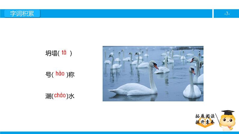 四年级【专项训练】课外阅读：天鹅的故事（上）课件PPT第7页