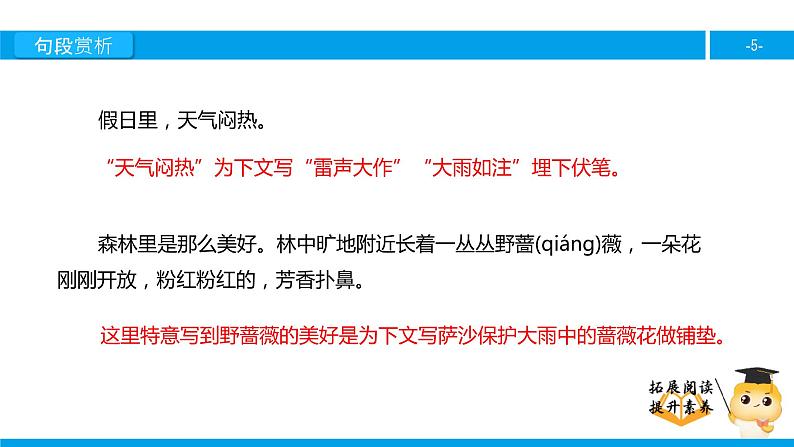 四年级【专项训练】课外阅读：我不是最弱小的（下）课件PPT第5页