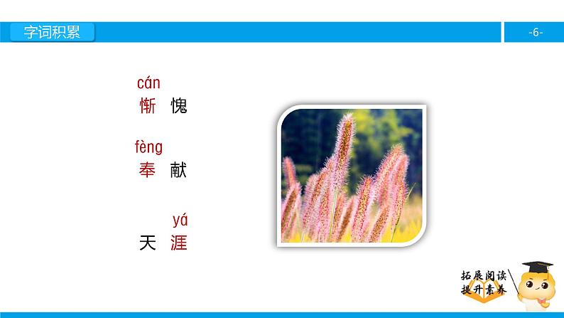 四年级【专项训练】课外阅读：小草之歌（上）课件PPT06