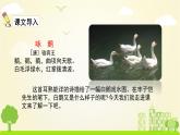 人教版语文四年级下册 第四单元15.白鹅 PPT课件