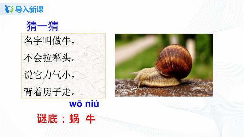 人教部编版语文一上《小蜗牛》 课件PPT+教案+练习05