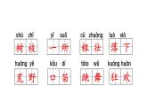 部编(统编)三年级上册小学语文期末复习课件(按单元复习)PPT